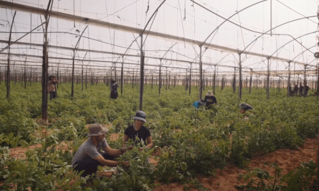 The beautiful Israel and WHY we will endure