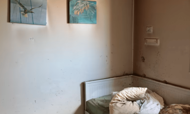 A Record of Pure, Predatory Sadism