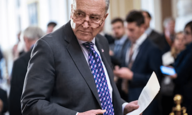 Schumer warns ‘antisemites are taking advantage’ of pro-Palestinian effort