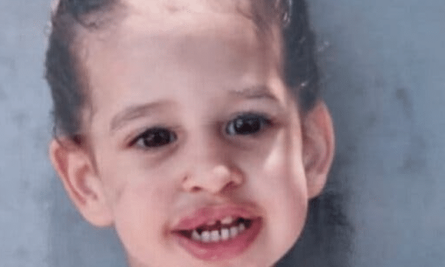 Hostages Freed From Gaza Recount Violence, Hunger and Fear