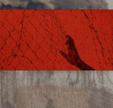 My Second Trip to Gaza Was as a Hostage. I Will Never Return.