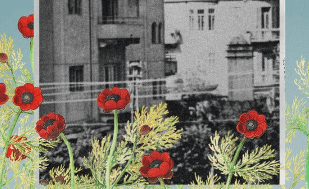 The Agony and Determination of Sderot