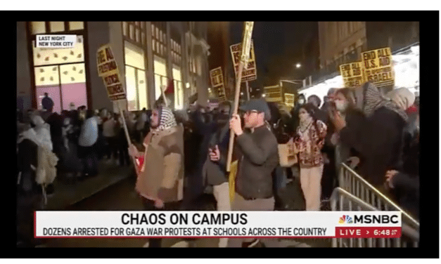 NYU Professor: Israel Is Seen As “Ground Zero For Whiteness” By Far-Left On Campus